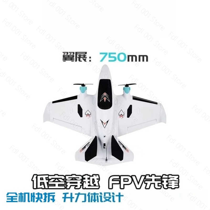 Avión RC de Ala Fija con Doble - Fpv Racing Motor reseña y precio